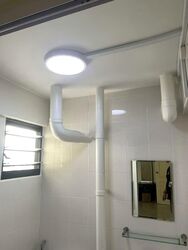 Blk 221 Serangoon Avenue 4 (Serangoon), HDB 3 Rooms #557376531
